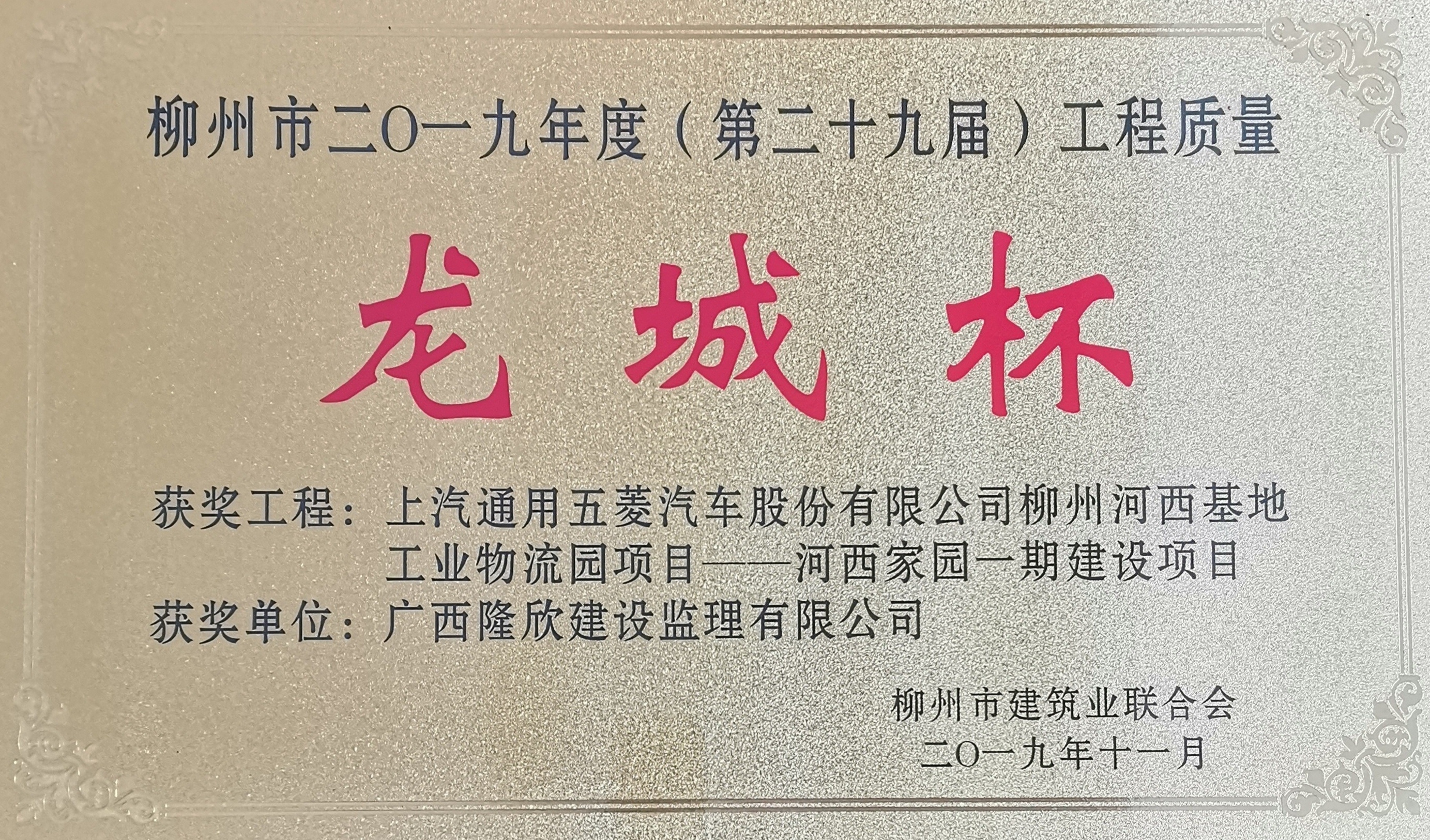 河西家园龙城杯.jpg