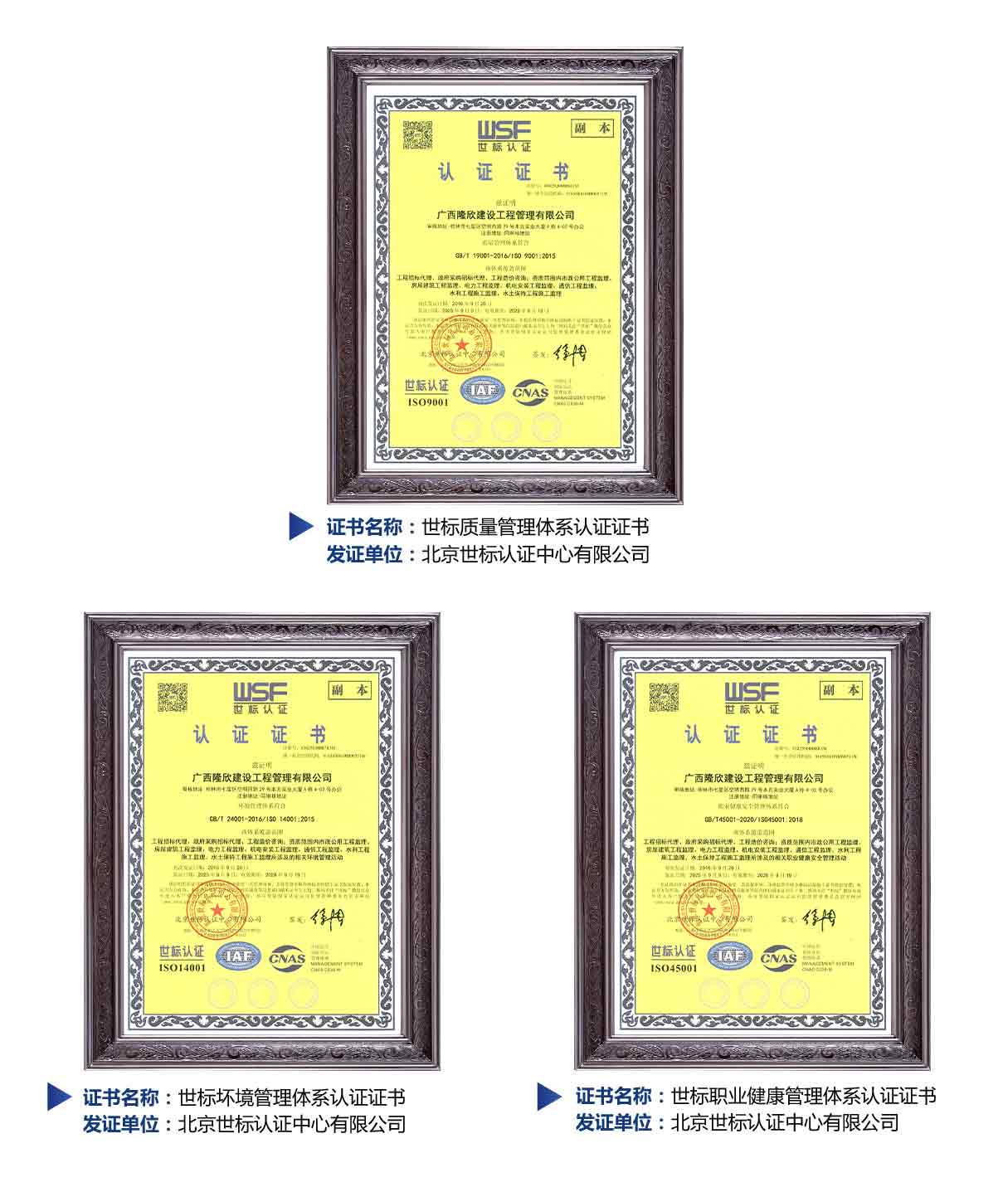网站简介-世标-2026-05-28.jpg