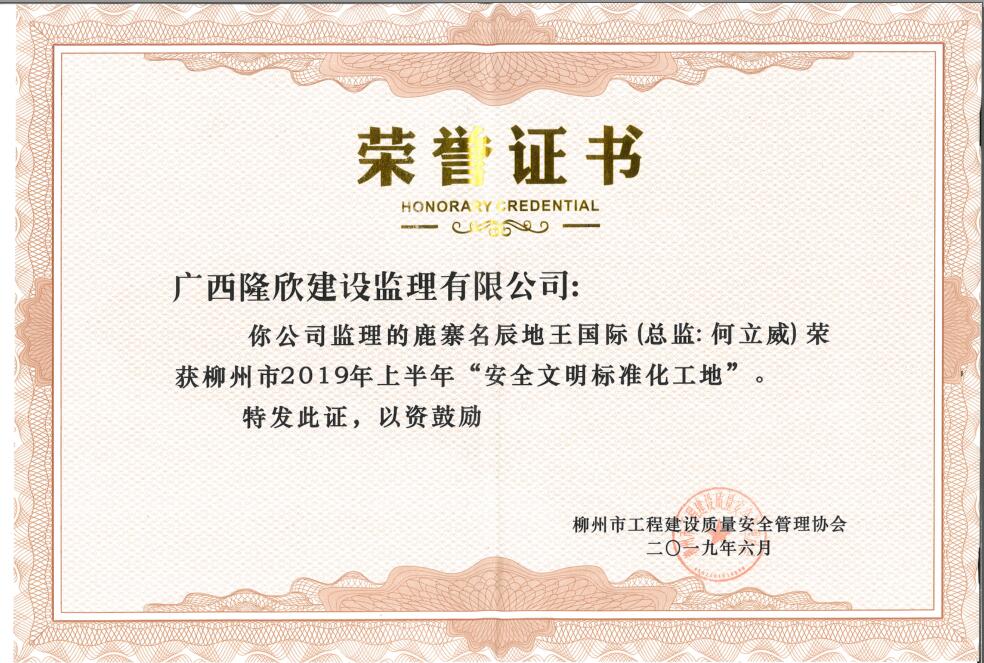 鹿寨名辰地王国际.jpg